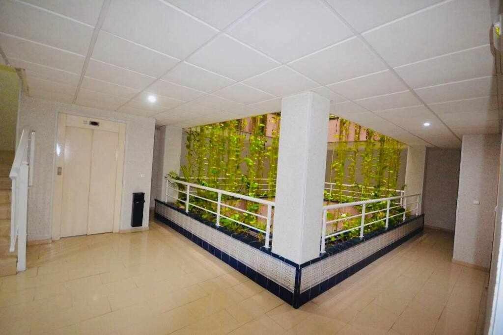 Apartamento Pink Sweet Home Торрев'єха Екстер'єр фото